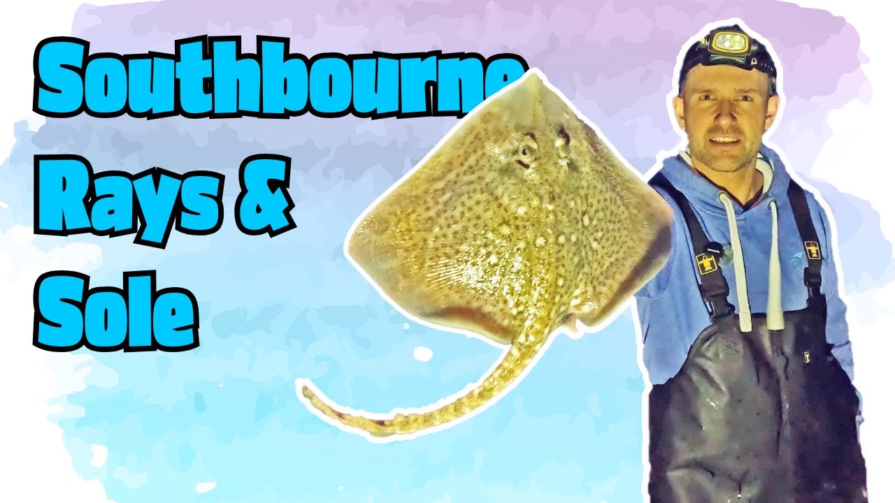 My Best Session on Southbourne for AGES!