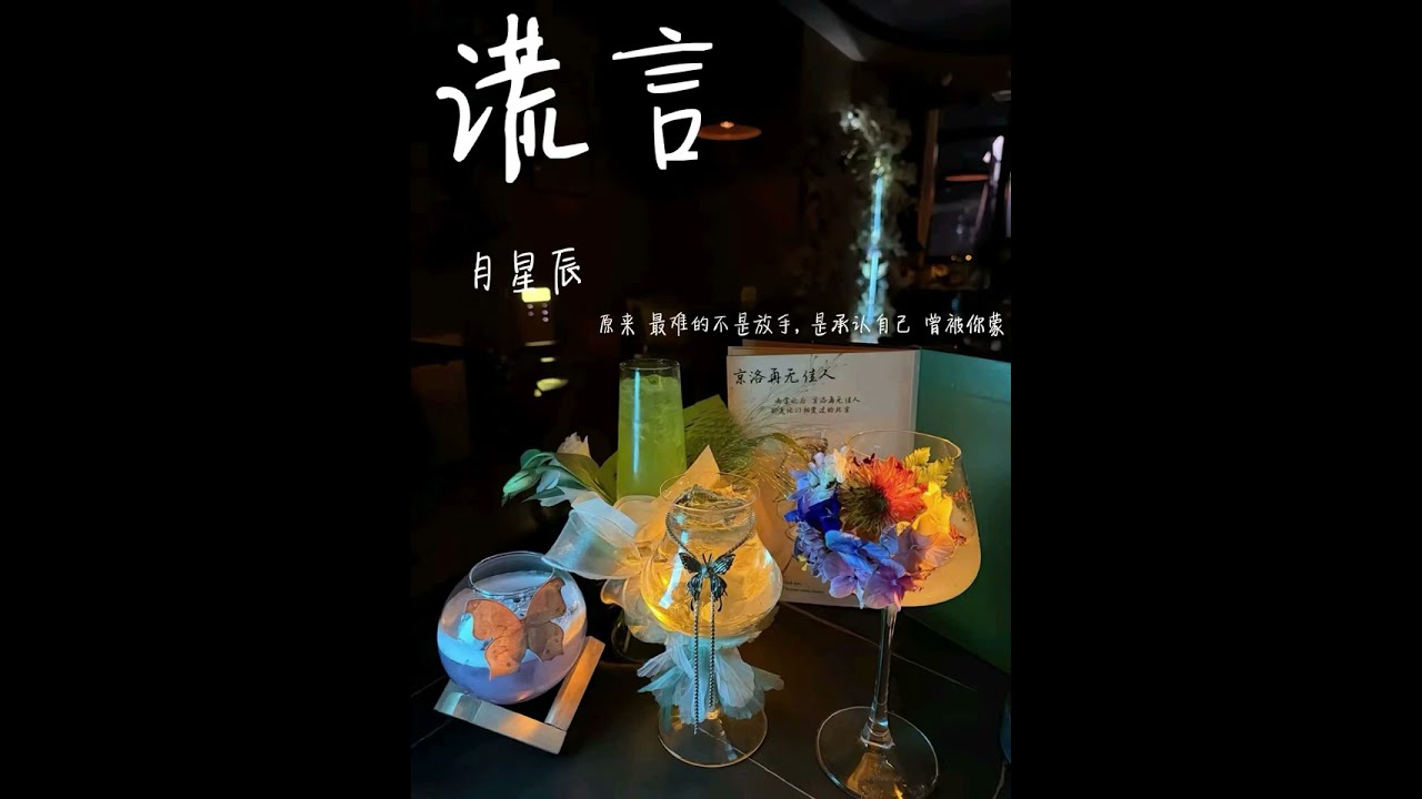 谎言 &ndash; 月星辰 | Lời N&oacute;i Dối [Vietsub: Lyrics]
