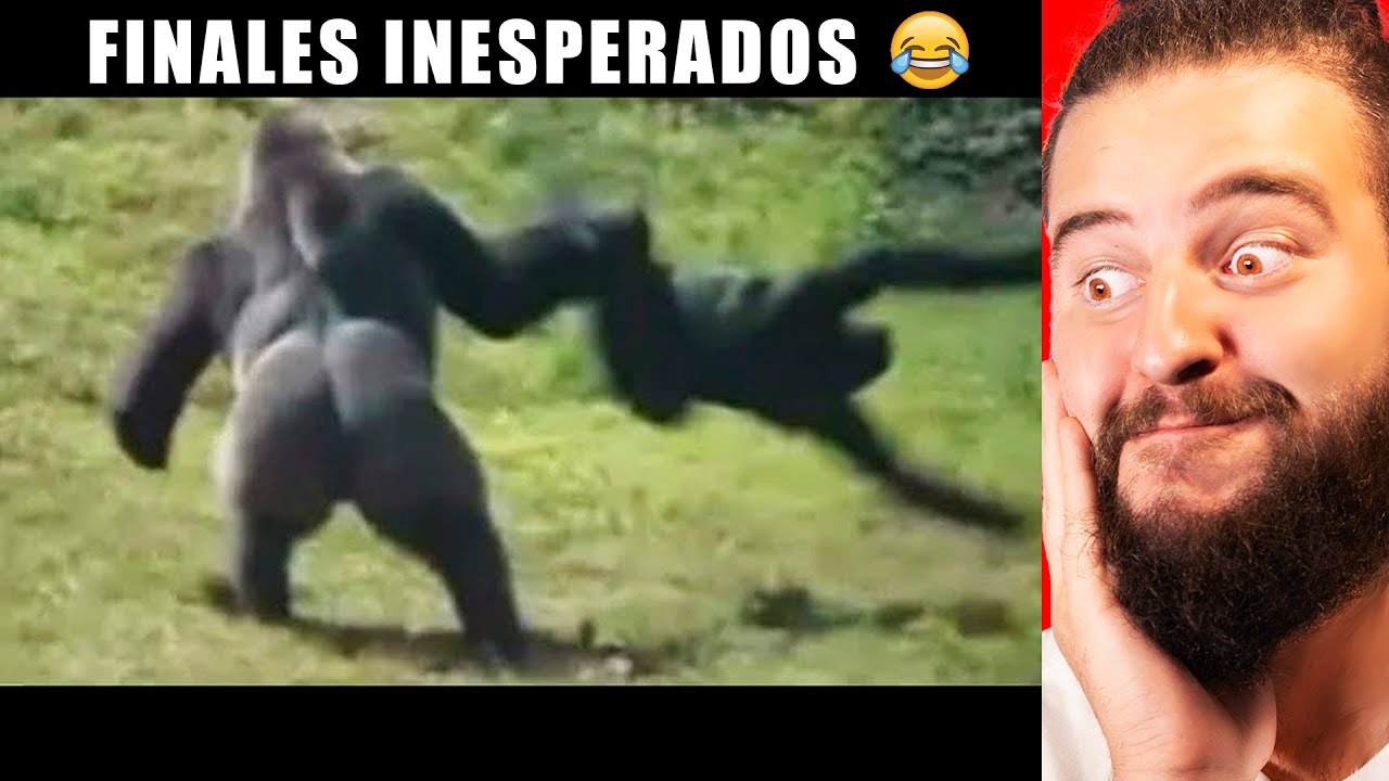 VIDEOS CON FINALES INESPERADOS 😂