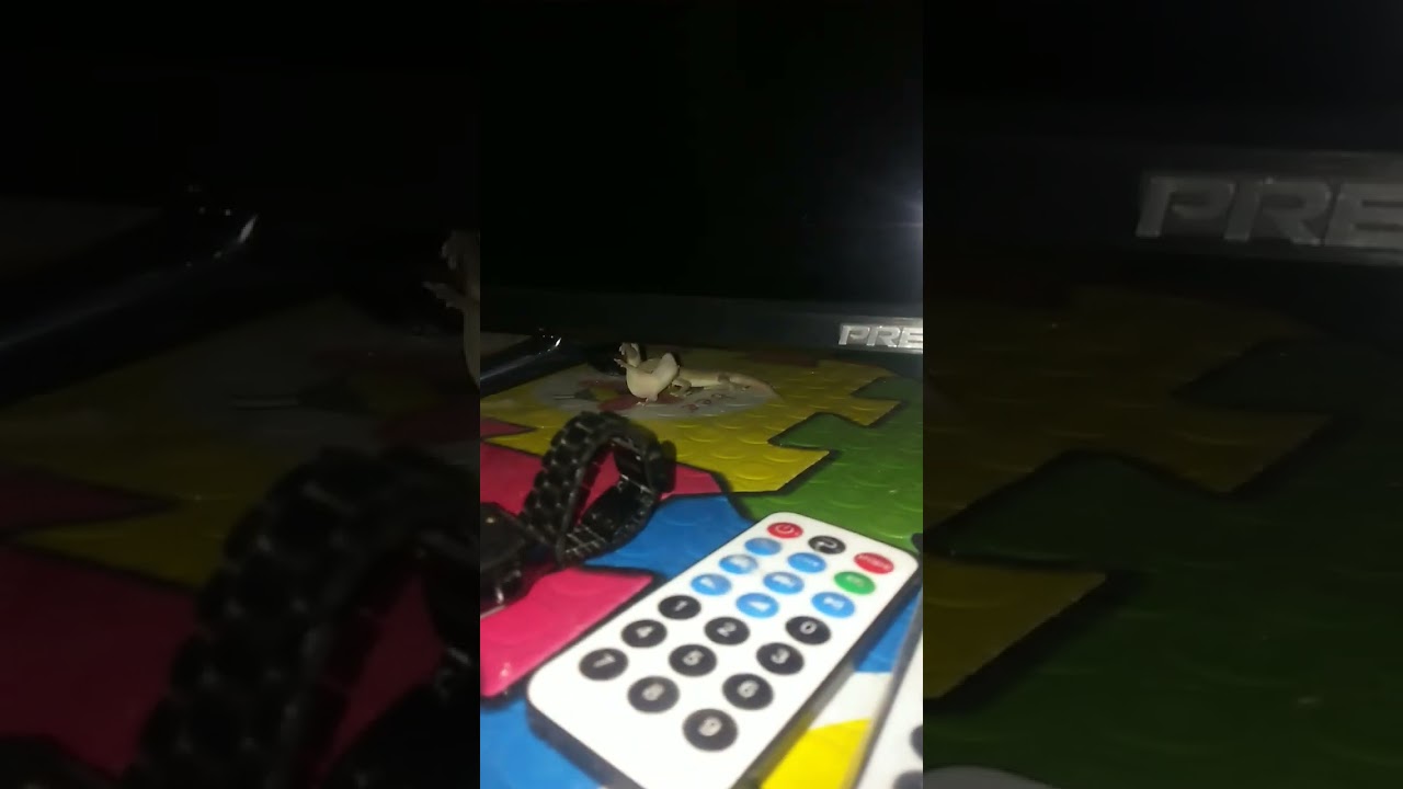 ‪@LittleLizardGaming‬