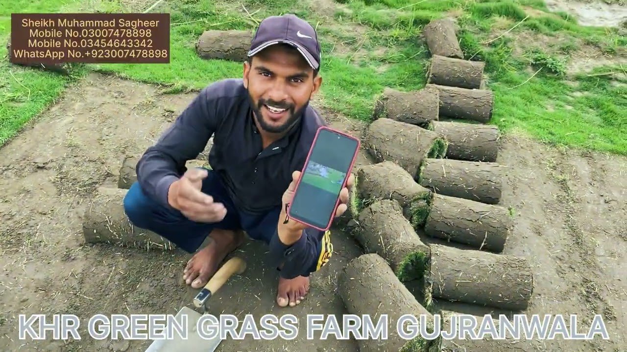08/05/2025. Beautiful, carpet Korian top quality carpe￼t #korean #GreenGrass #Agriculture ￼