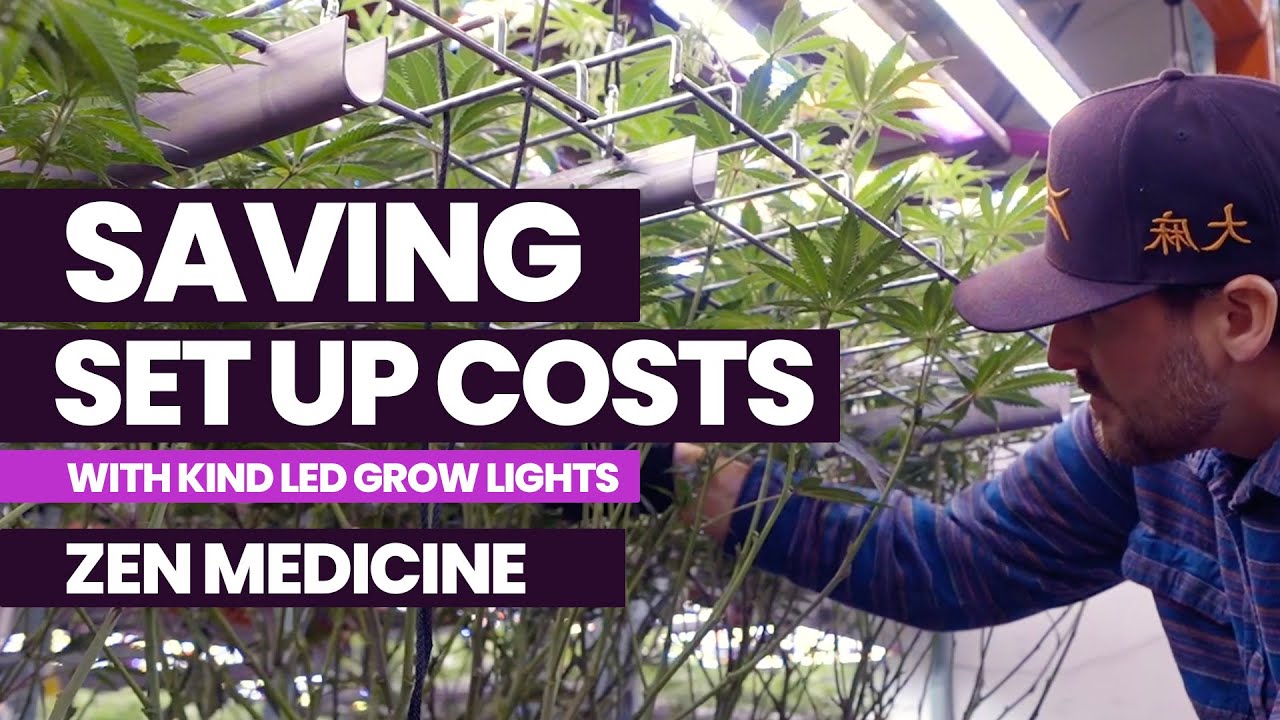 Saving Setup Costs with KIND LED Commercial Grow Lights [PREVIEW]