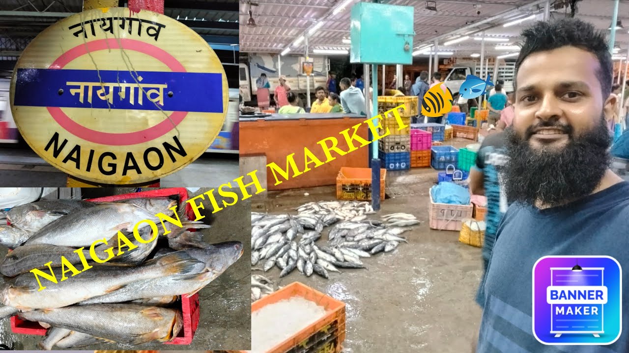 2/10/2023 NAIGAON WHOLESALE FISH 🐠🐟 MARKET TIME 8PM TO 1AM