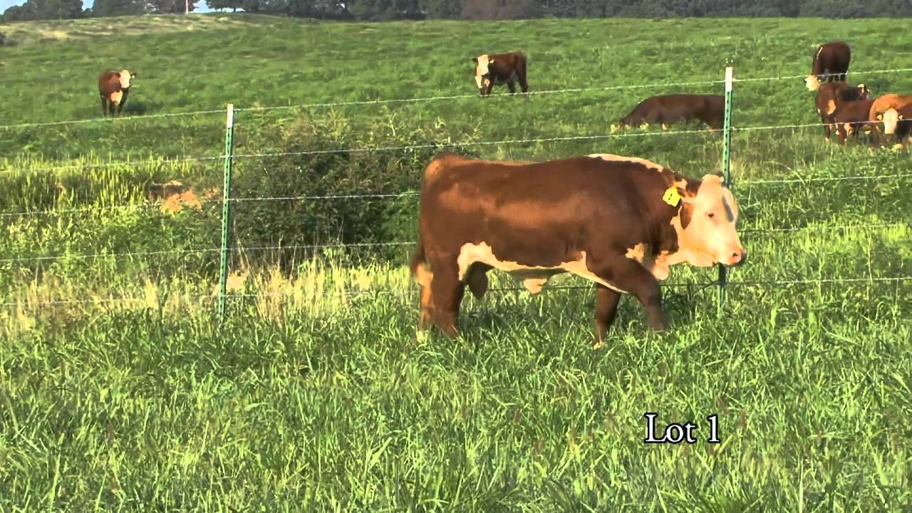 Journagan: Lot 1