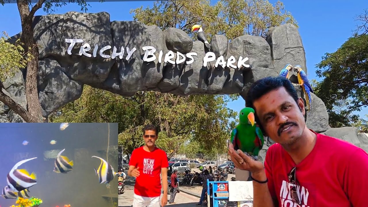 TRICHY BIRDS PARK #tamillnadutourisam#l animallover #birdslover