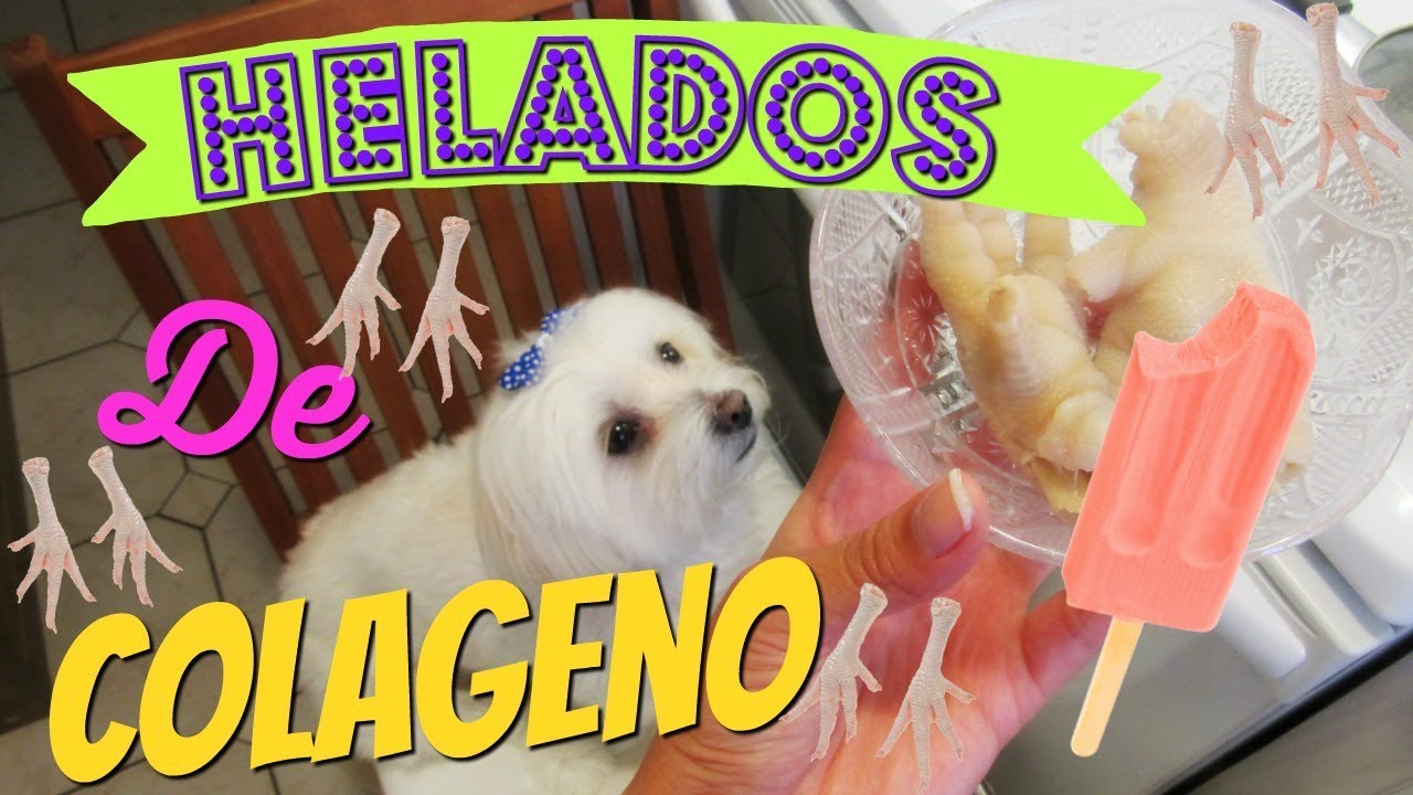 COLAGENO para Perros en: Caldo, Bocaditos, Helados I Lorentix