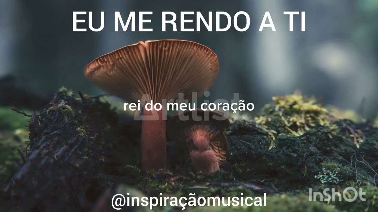🔴LINDO LOUVOR E ADORAÇÃO ESTILO GABRIELA ROCHA