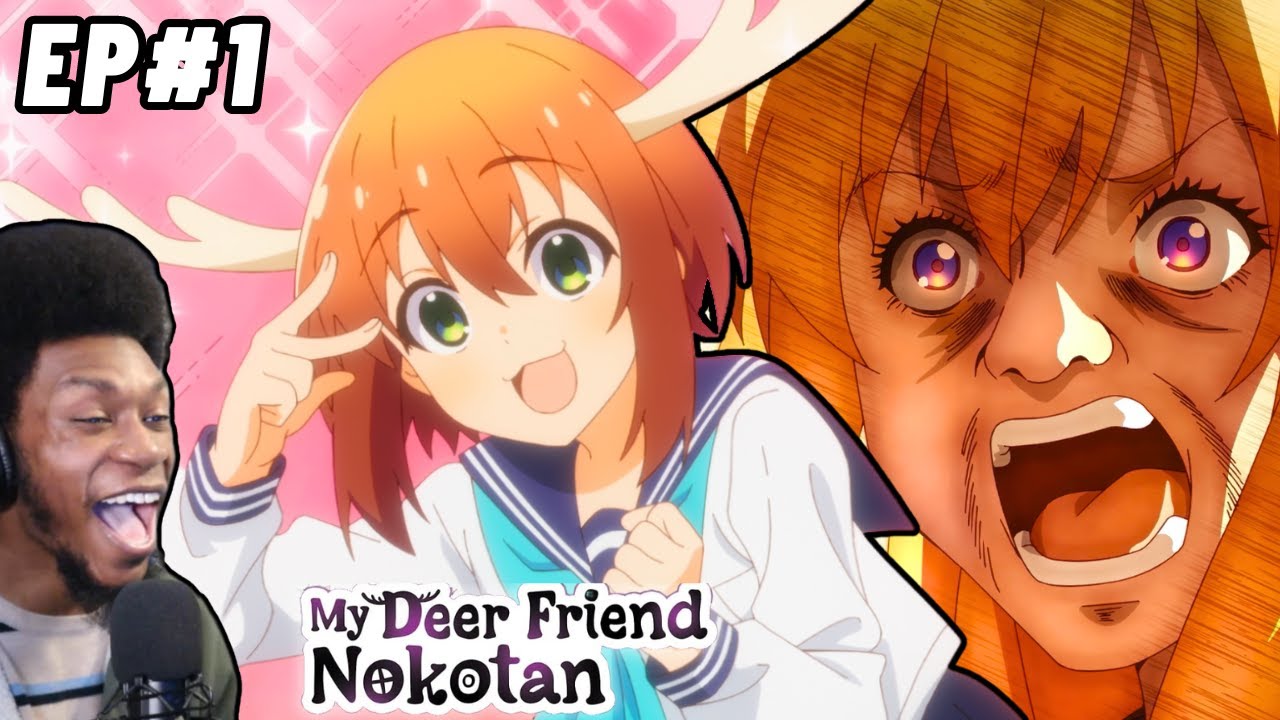 HILARIOUS START! My Deer Friend Nokotan Episode 1 REACTION