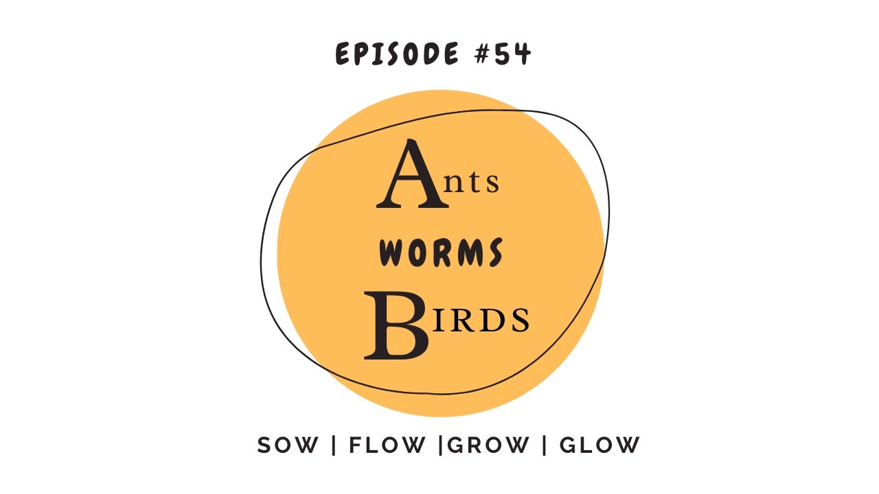 #54: The one with the worm, ants and bird ... a contemplative tale - by YWAY