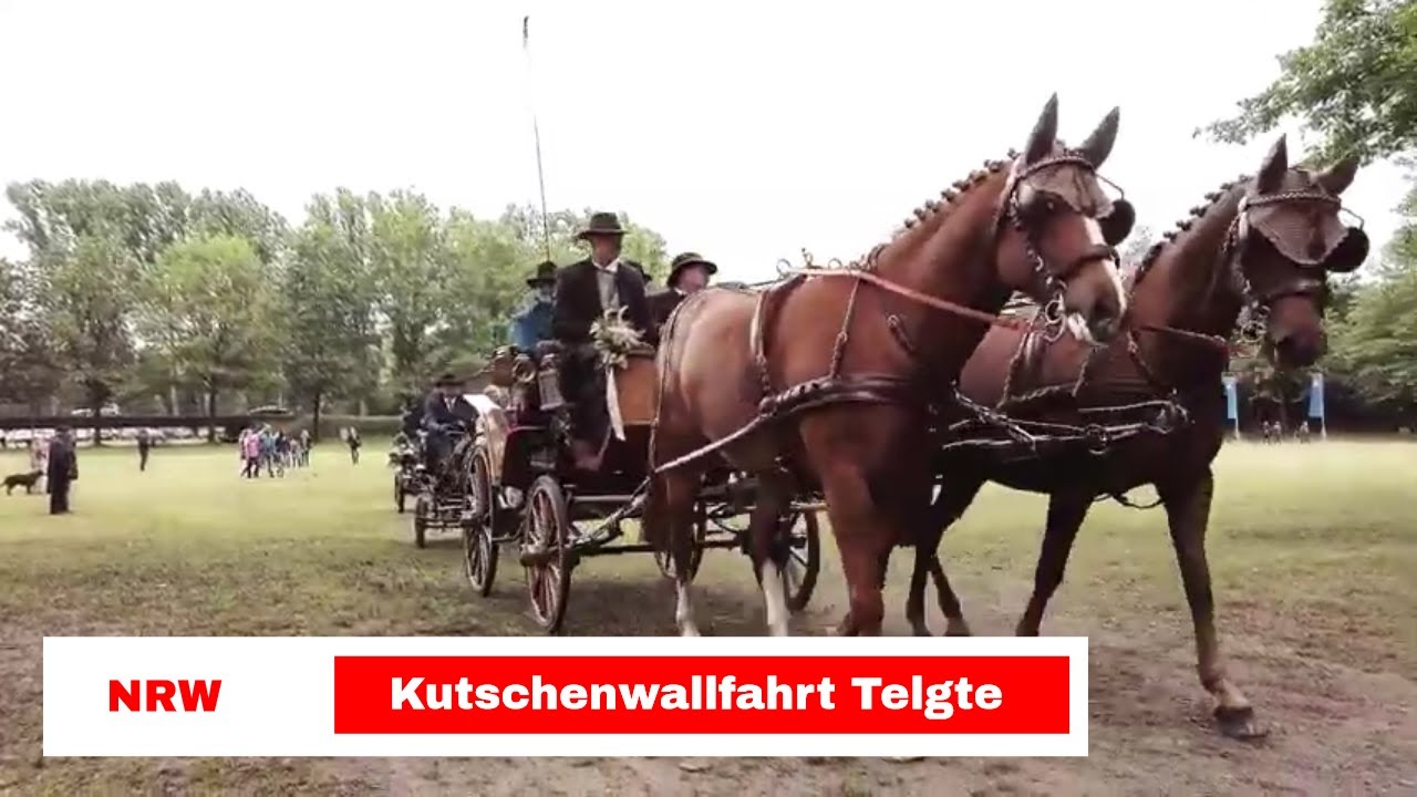 Pferdekutsche fahren - Kutschenwallfahrt Telgte 2019
