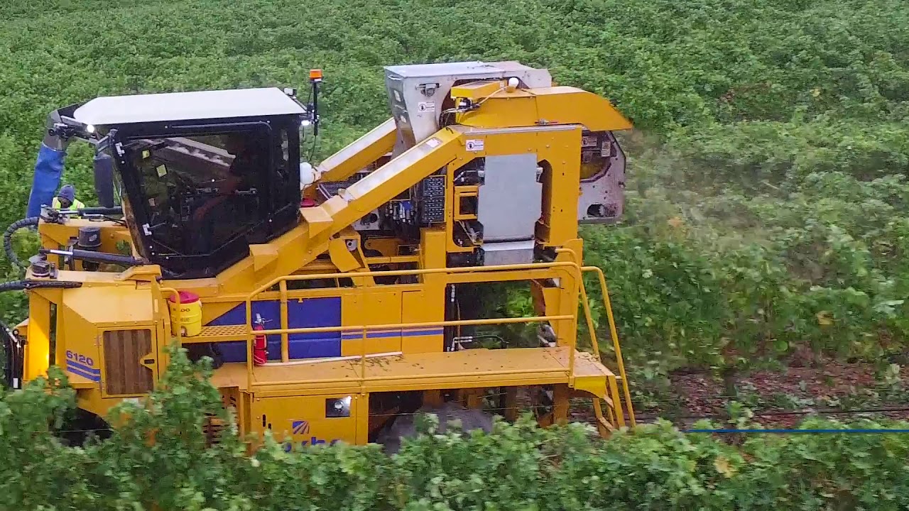 6120 grape harvester