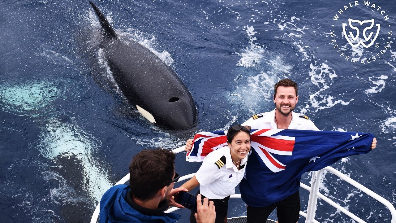 Bremer Bay Orca Australia Day 2025🇦🇺