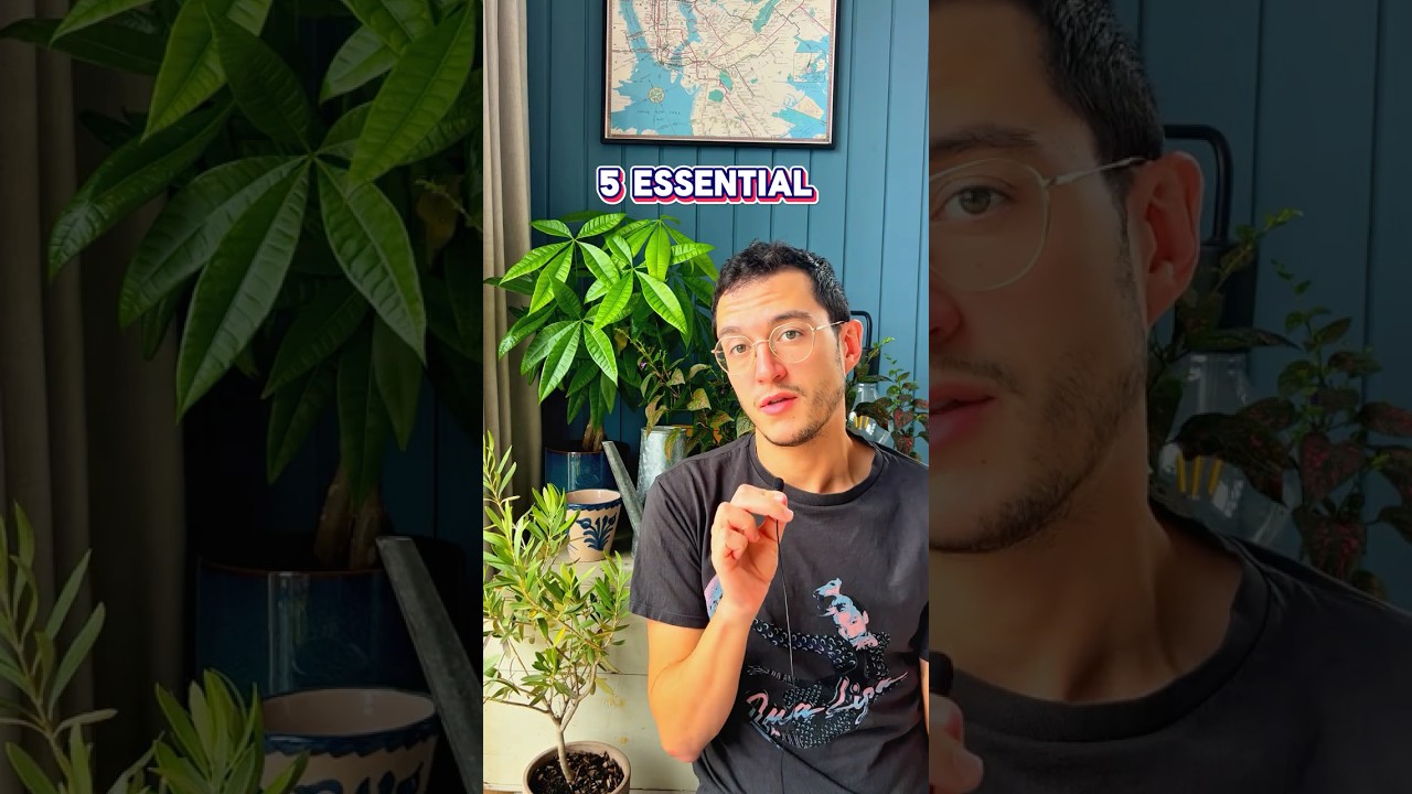 5 Essential Experimental Albums You Need To Listen 🌟🎶