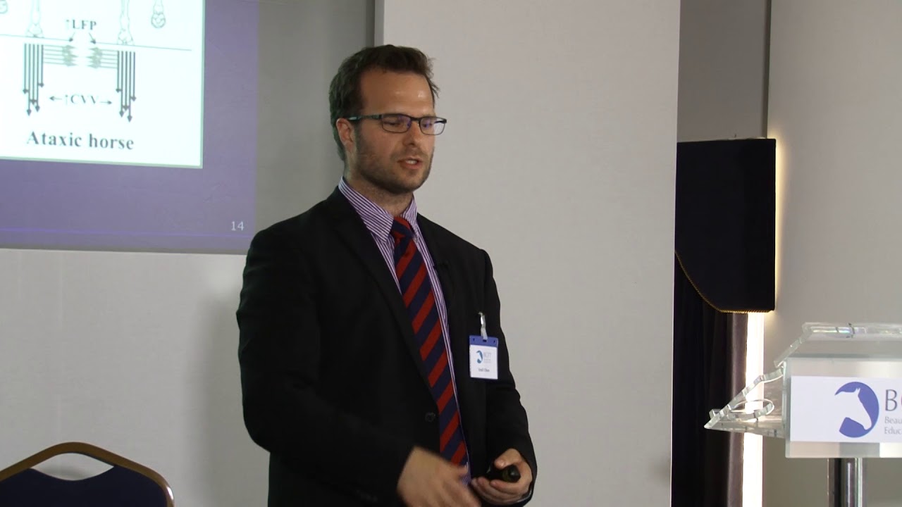Objective assessment of spinal ataxia – Emil Olsen, Royal Veterinary College, Hatfield
