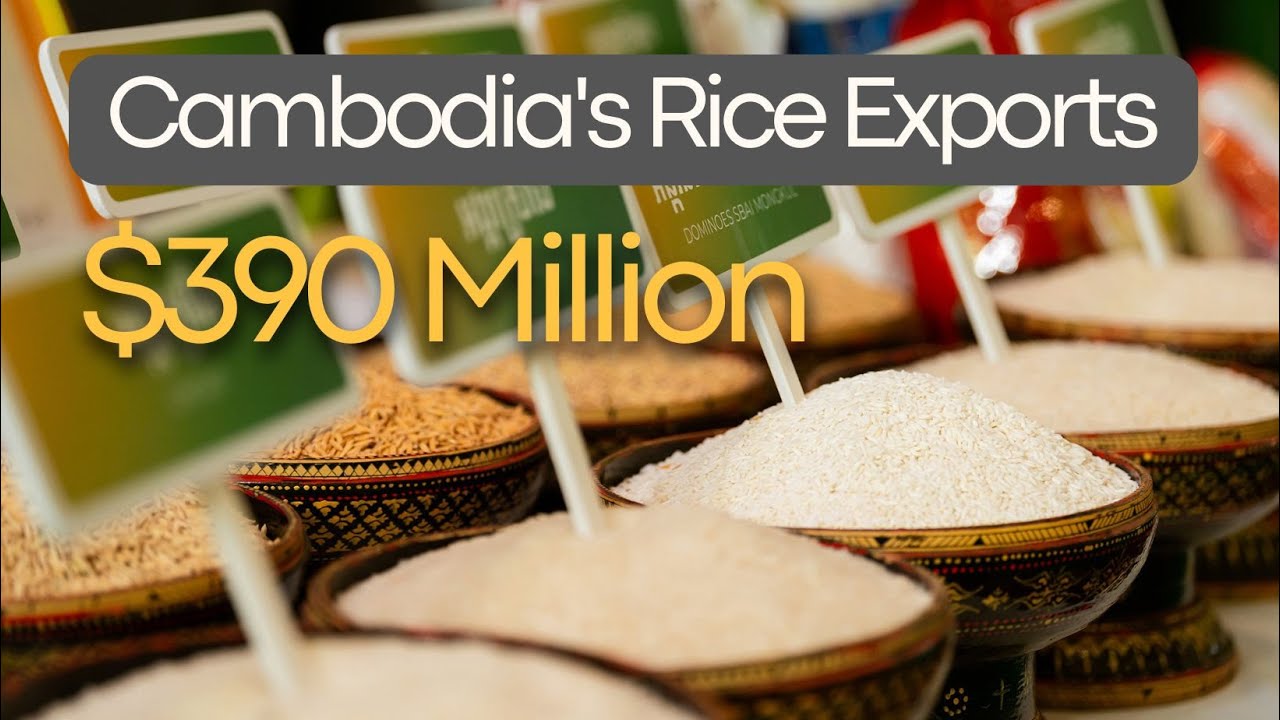 Cambodia's Rice Exports Soar in First Half of 2025-Boost Economy