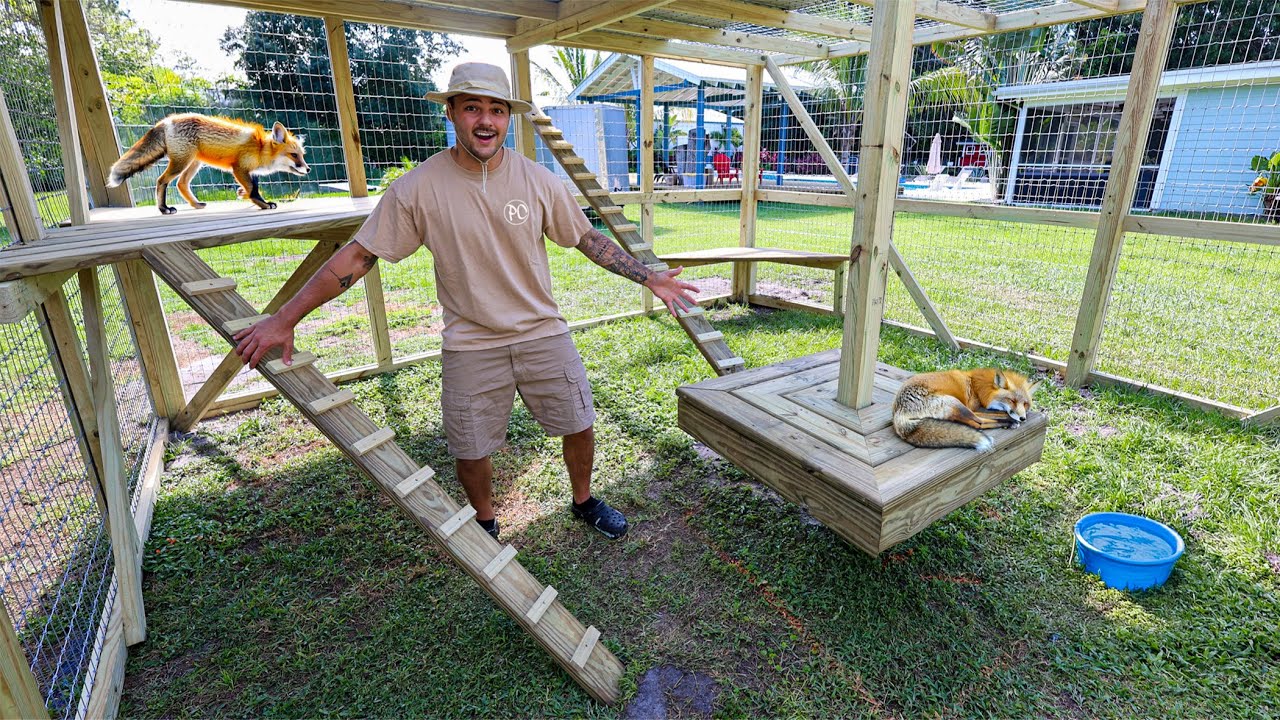 Building a NEW CAGE for EXOTIC ANIMALS!!