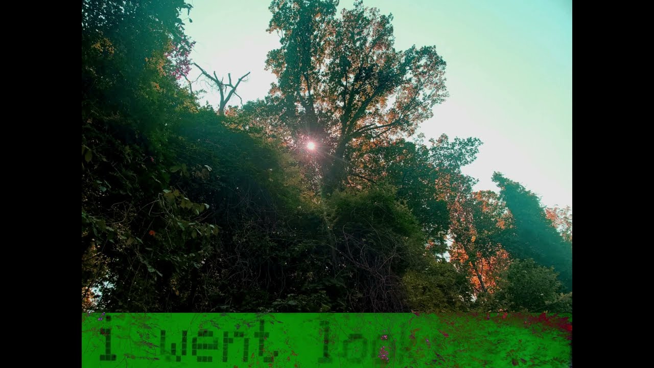l went looking for you... (take 12)