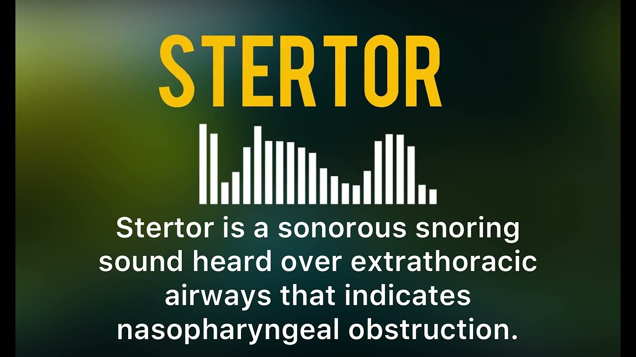 stertor sound  lung pathologic sound