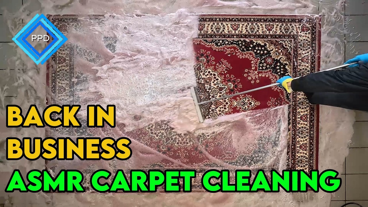 PPD  -Back in business-  ASMR Carpet Cleaning - Pranie dywanu