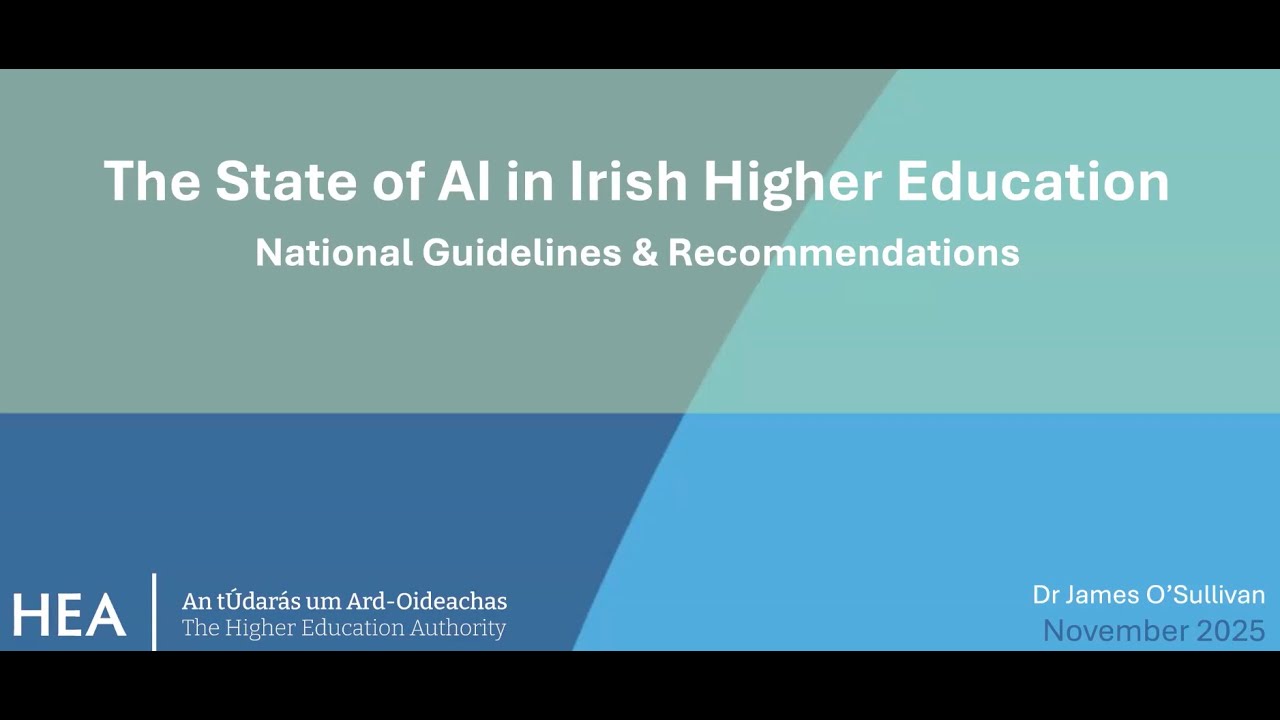 The State of GenAI in Irish Higher Education