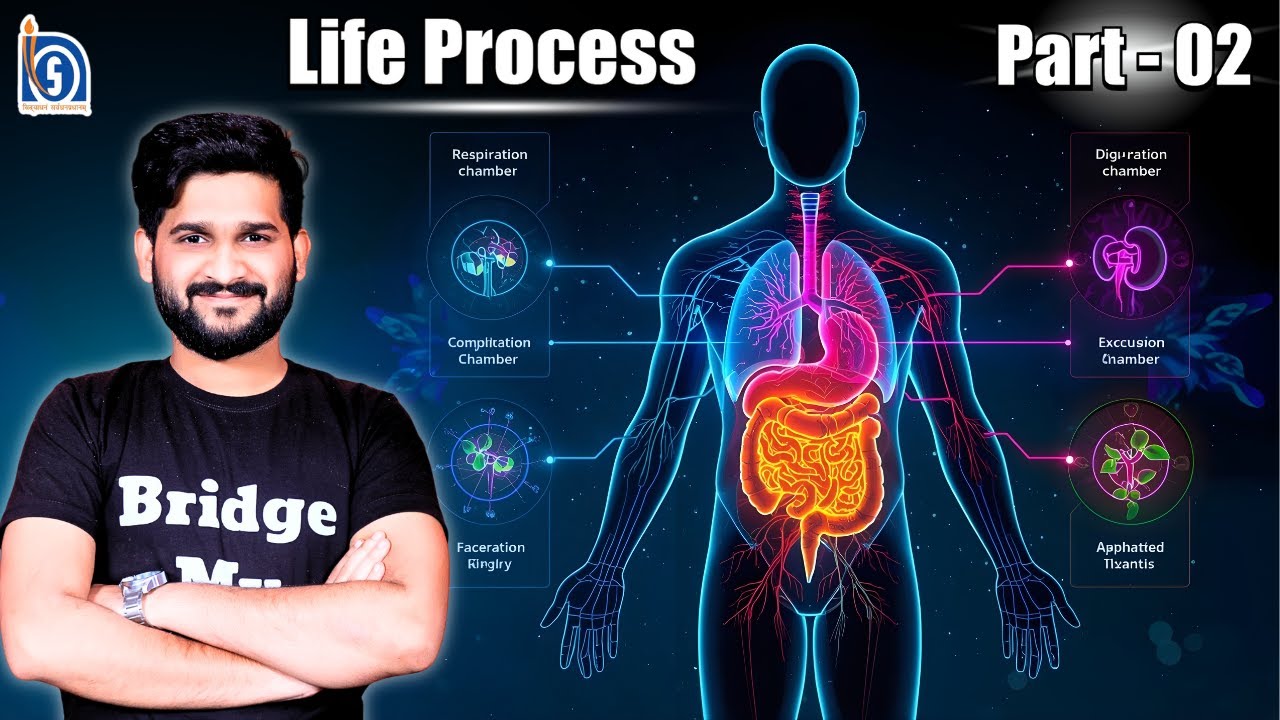 Life Process Class 10 NIOS | Full Chapter One Shot in Hindi | 212 Science Complete Explanation P-02