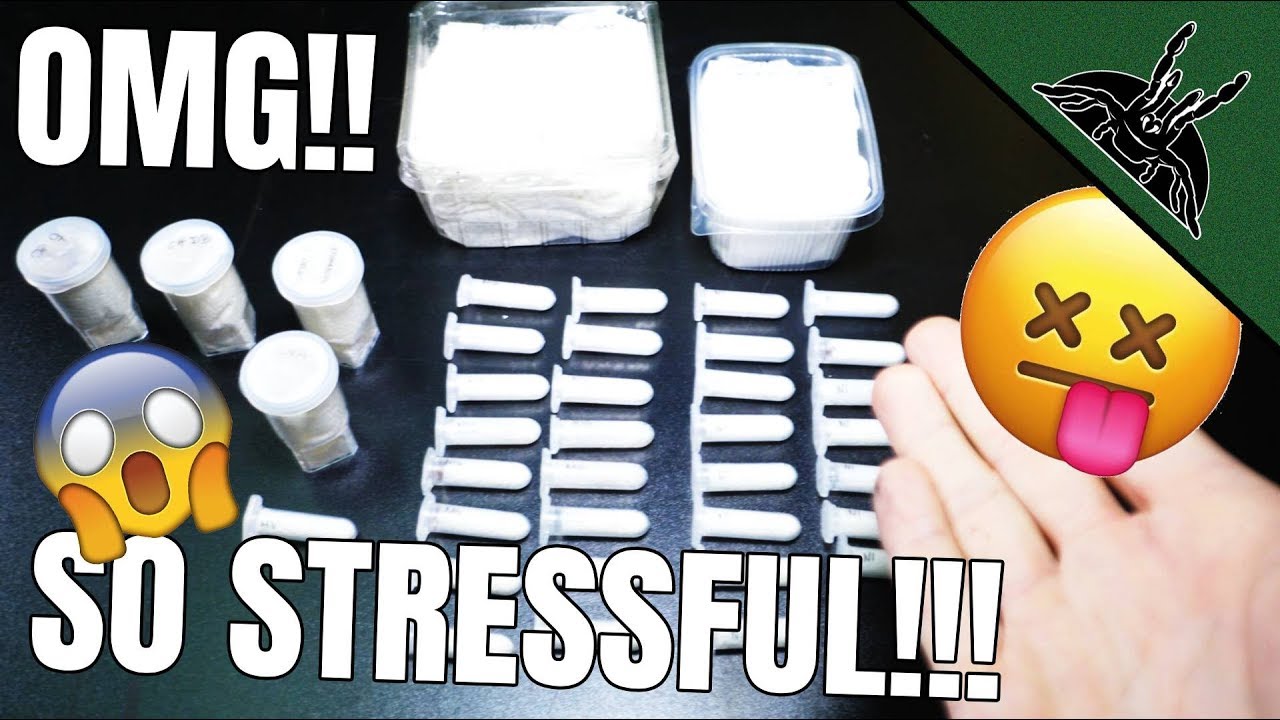 UNBOXING that ALMOST made me CRAZY!