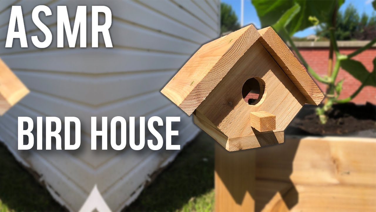 Cedar Wood Bird House made with Scrap Wood | Woodworking ASMR