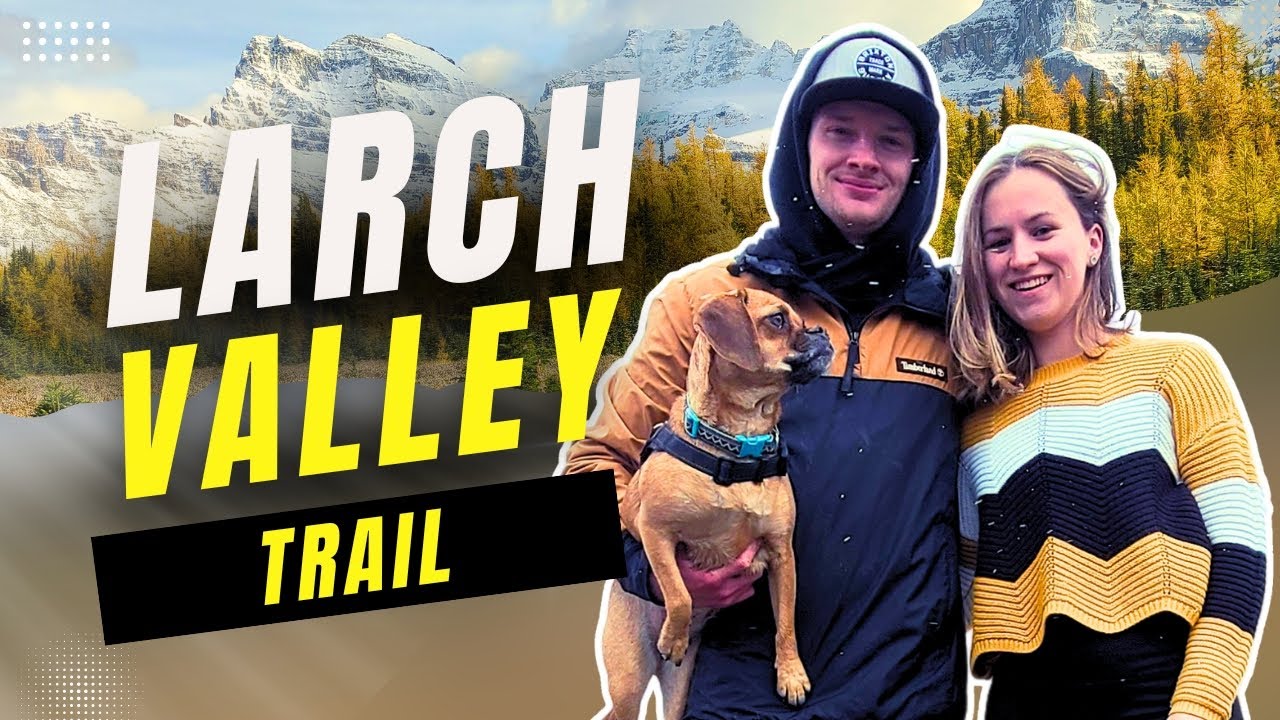 BEST Larch hike near Calgary in Banff | Hiking Larch Valley trail sentinel pass