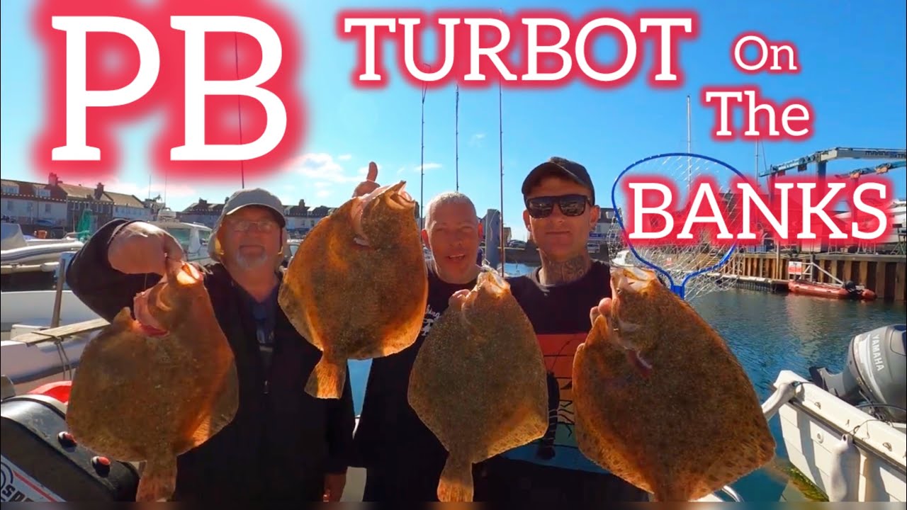 TURBOT FISHING GUERNSEY - with garfish baits -
