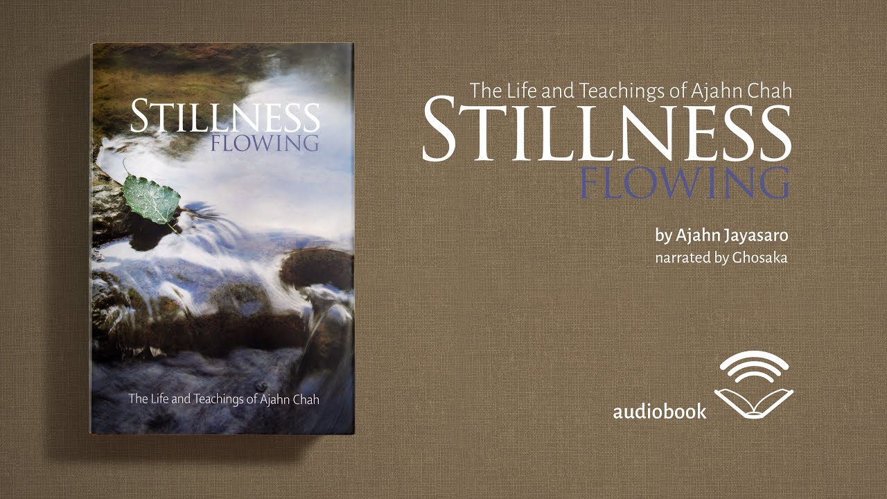 Stillness Flowing | Chapter VI: The Heart of the Matter - Calm and Insight