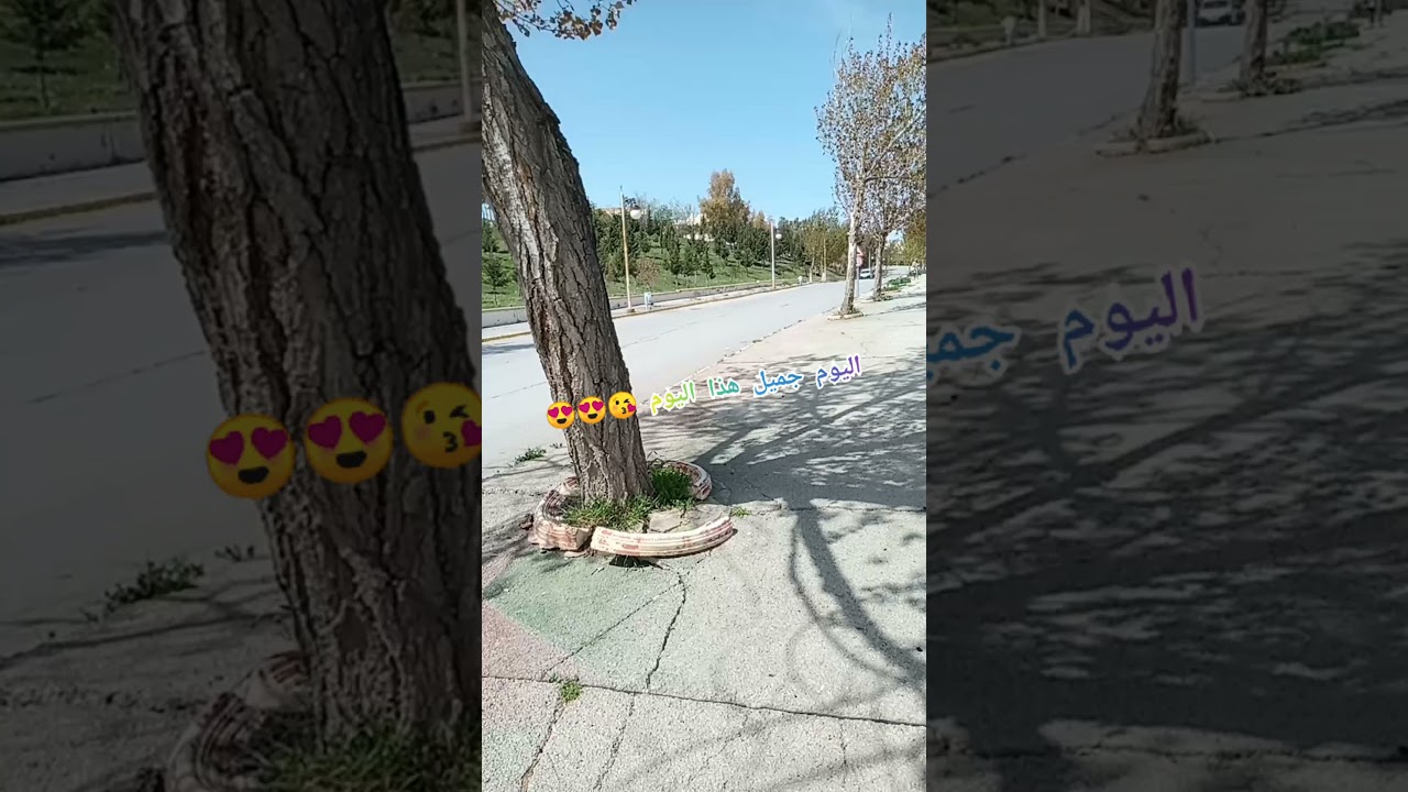 نزهة في جامعة فرحات عباس لولاية سطيف 🌷😍💕💖