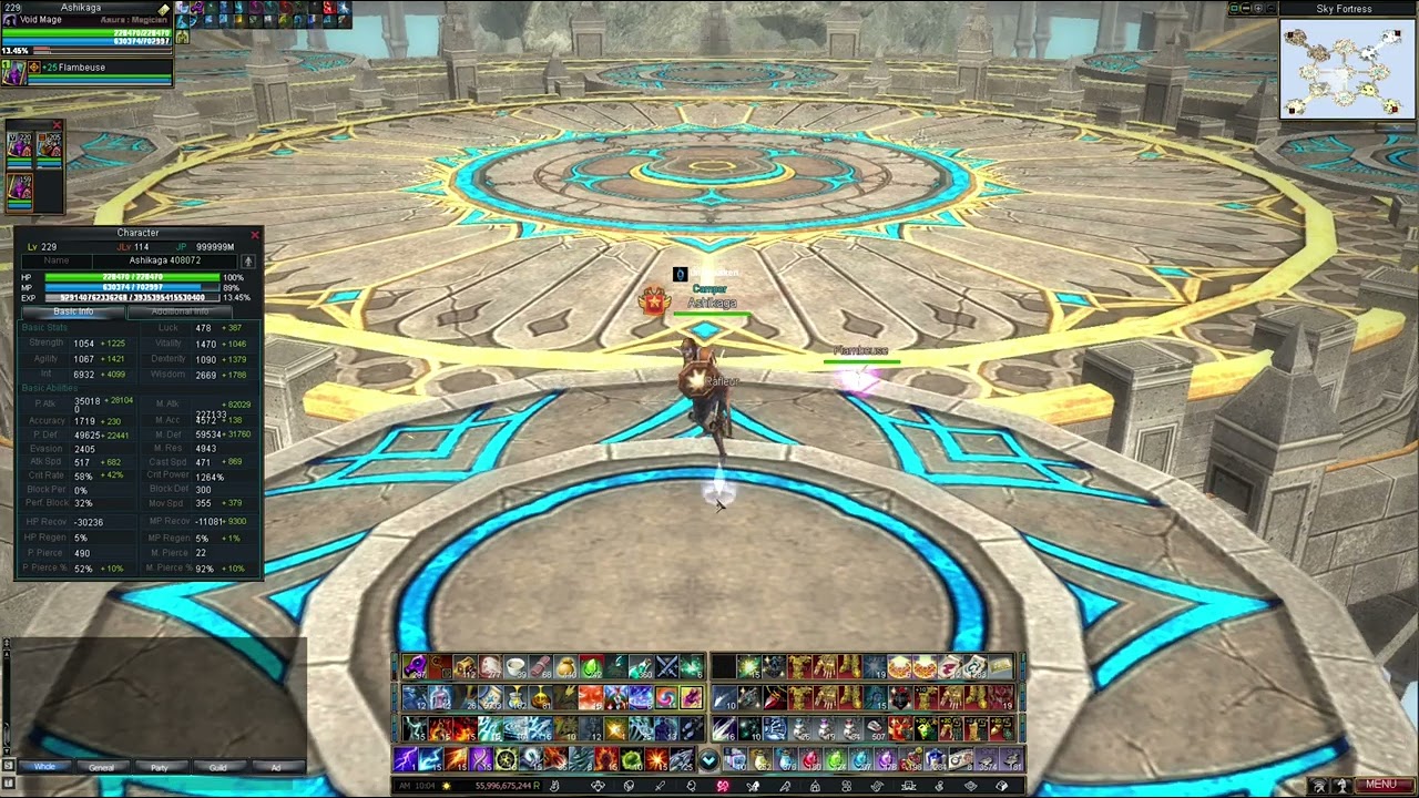 Rappelz 9.9 Void Mage Devil Skeleton + Revived using crystal sword