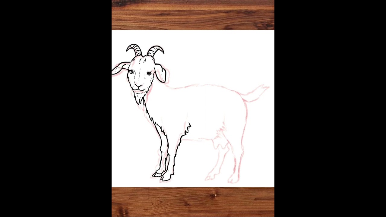 How to Draw GOAT WITH BETTER #shorts #drawingtutorial #draw #coloring