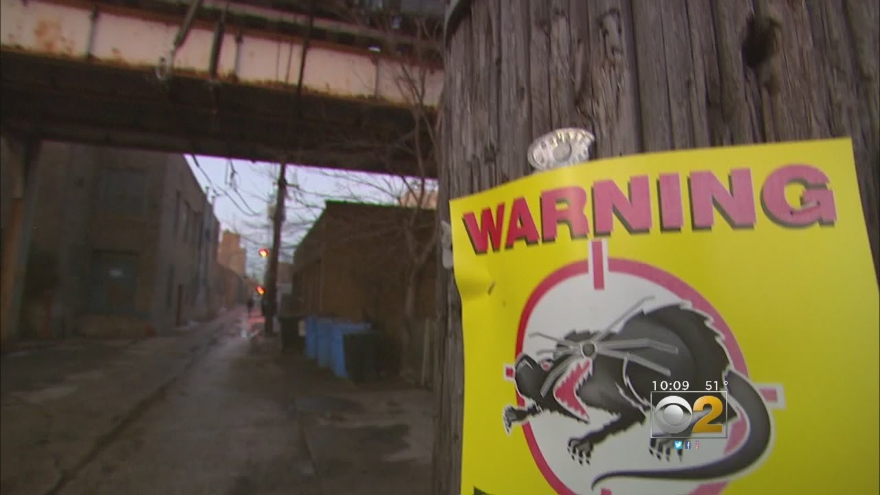 Oops -- City Wasn't Supposed To Be Using Dry Ice To Kill Rats