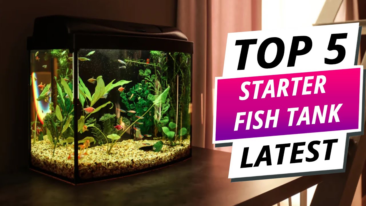 Perfect for Beginners: Top 5 Best Starter Fish Tanks 2025