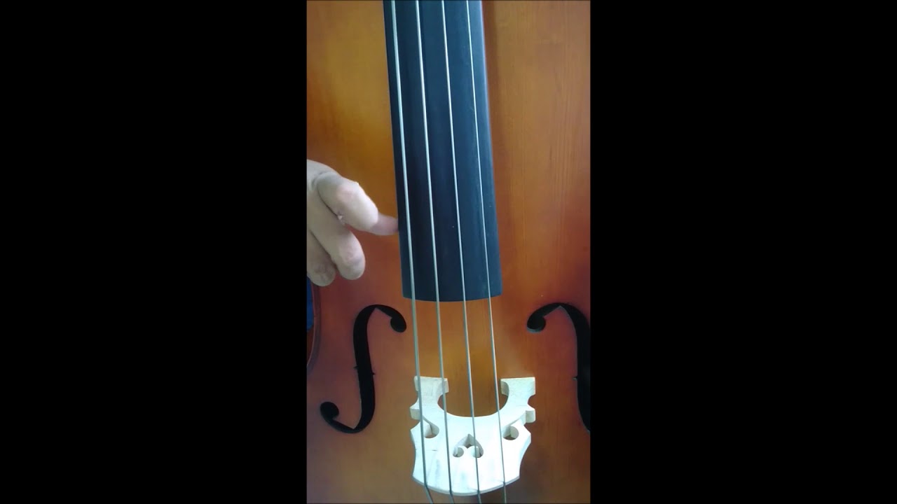Técnica pizzicato - Contrabajo