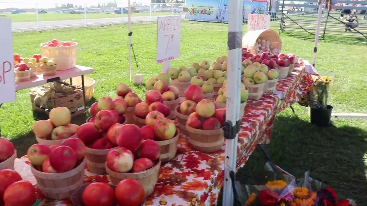 Markham Fair 2025 Ontario