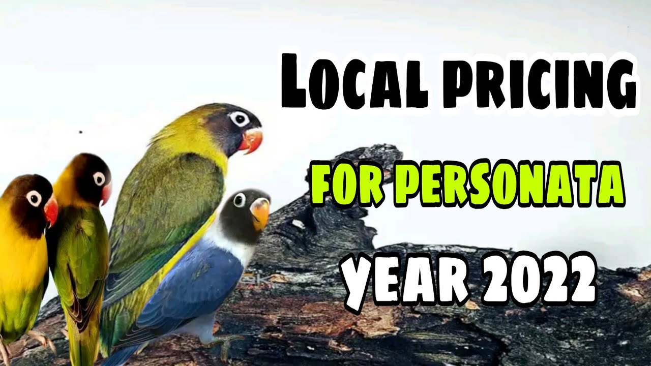 UPDATED PRICELIST FOR PERSONATA BLACK MASKED YEAR 2022