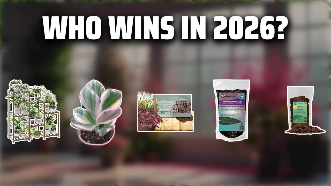 The Top 5 Best Pink Princess in 2026 - Must Watch Before Buying!
