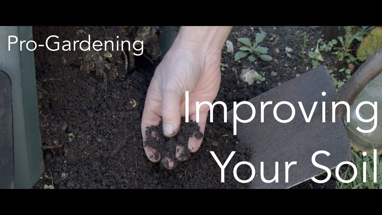 Pro-Gardening - Episode 006 - Improving your soil