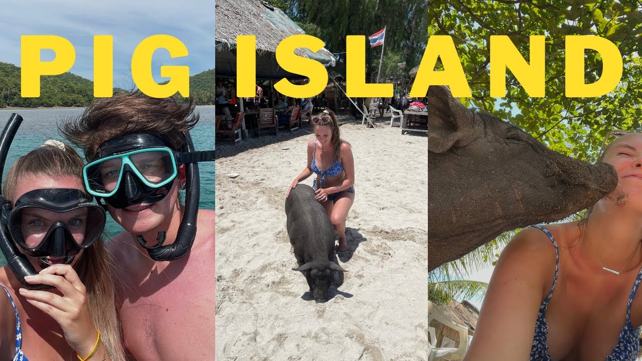 PIG ISLAND! | Koh Samui Snorkelling Day Tour