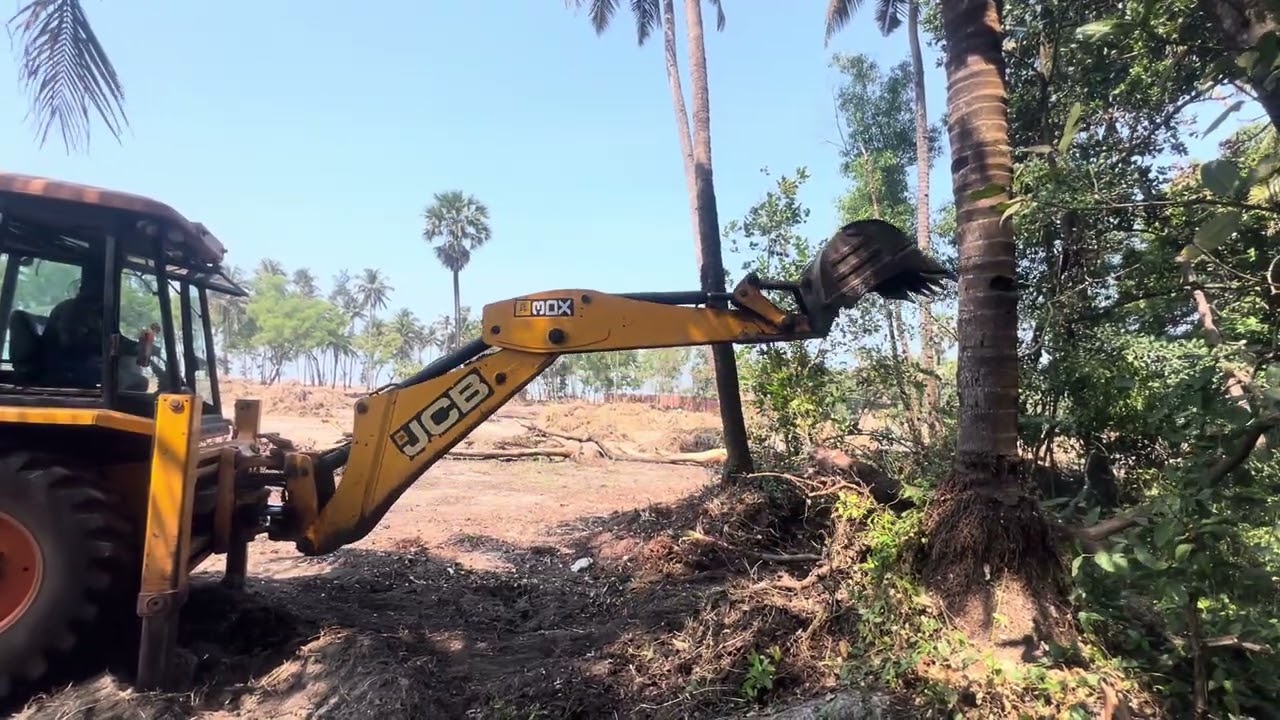 JCB 3dx removing coconut tree without damage 