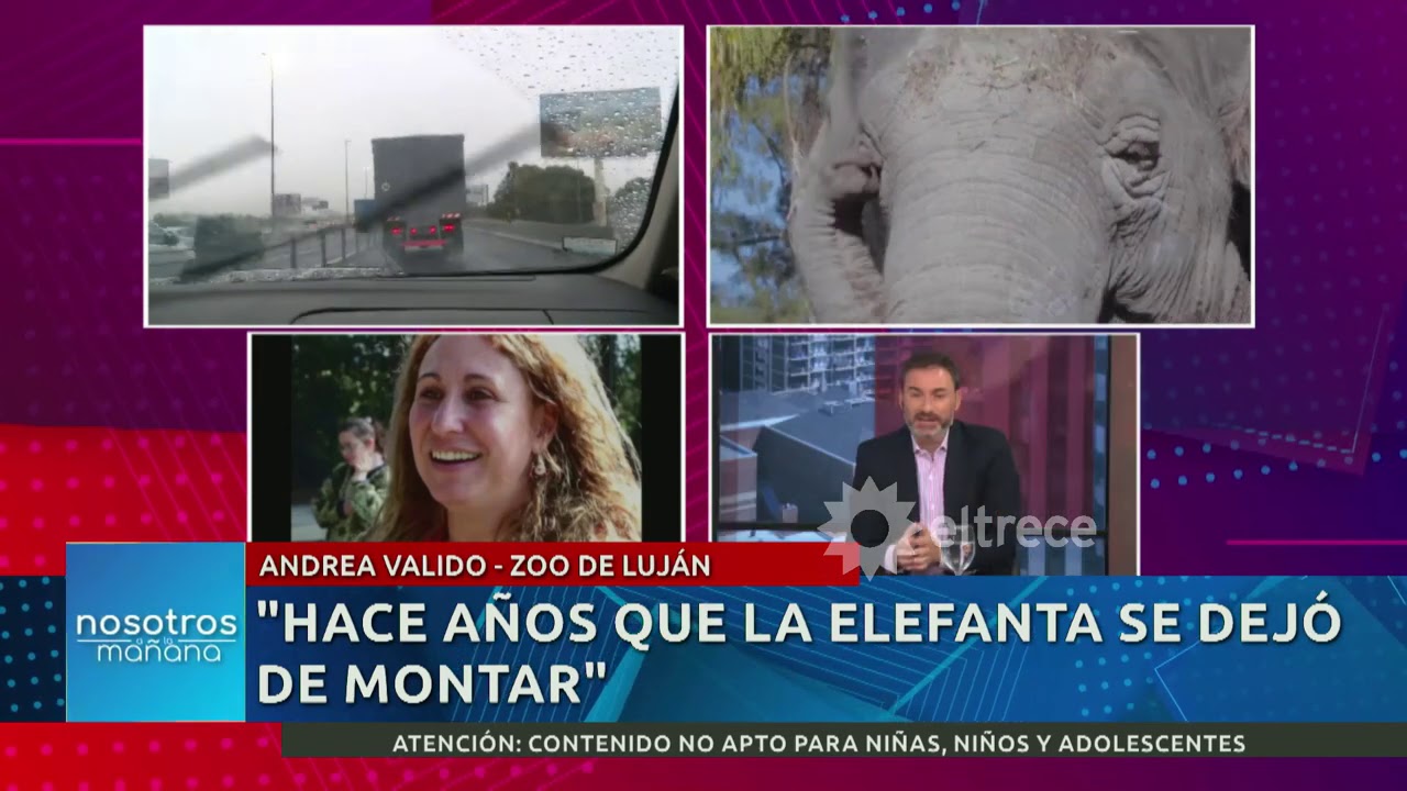 Polémica y gritos por la muerte de la elefanta 