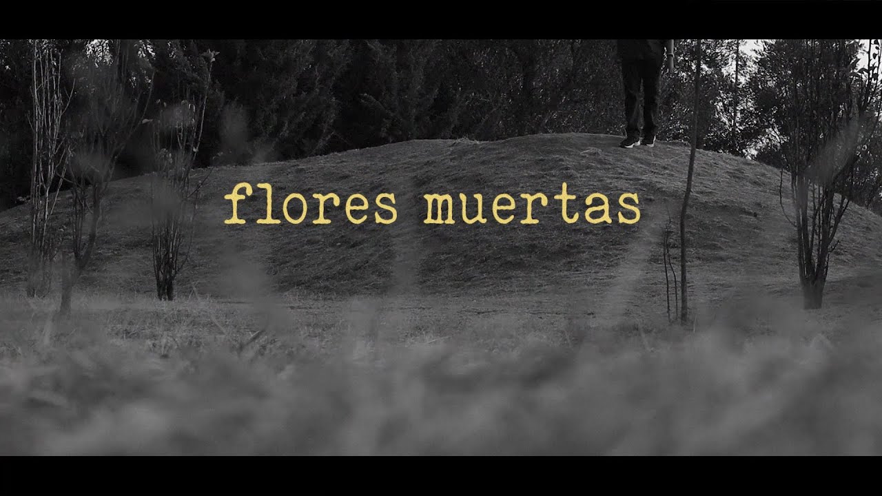Tavo Guarneros - Flores Muertas