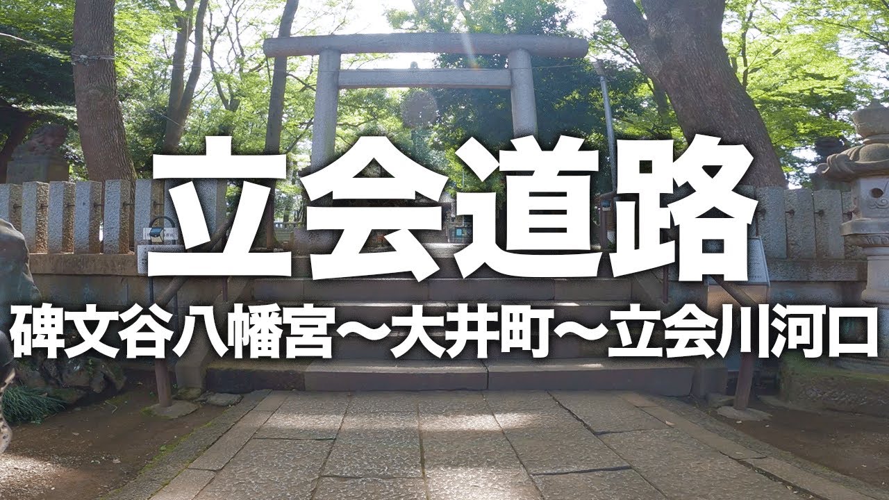 立会道路（碑文谷八幡宮〜大井町〜立会川河口）【サイクリング風景】