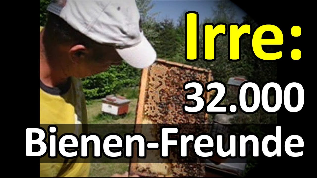 Hilfe 🤣 Irre Bienen-Szenen noch nie gesehen 🤣 Danke Euch, liebe 32.000 Bienenfreunde