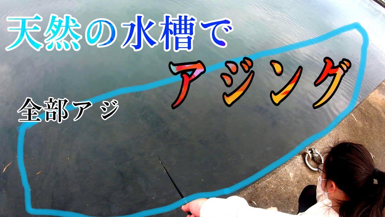 【和歌山南紀】アジの群れが居たのでアジングしてみた！EP183
