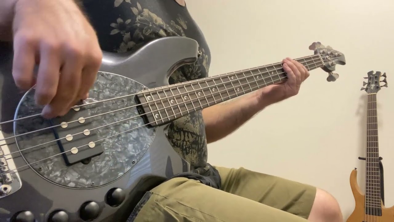 Barão Vermelho - Meus Bons Amigos - Bass / Baixo Cover