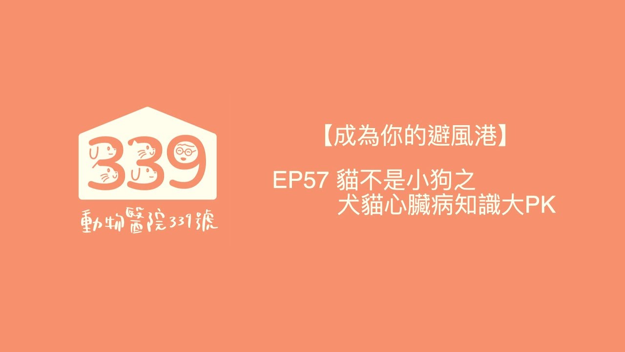 【成為你的避風港】EP57 貓不是小狗之犬貓心臟病知識大PK