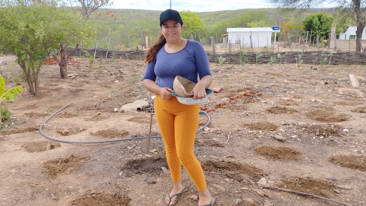 DEPOIS DAS CHUVA NO SERTÃO PERNAMBUCANO VAMOS COMEÇA OS TRABALHOS NO ROÇADO 